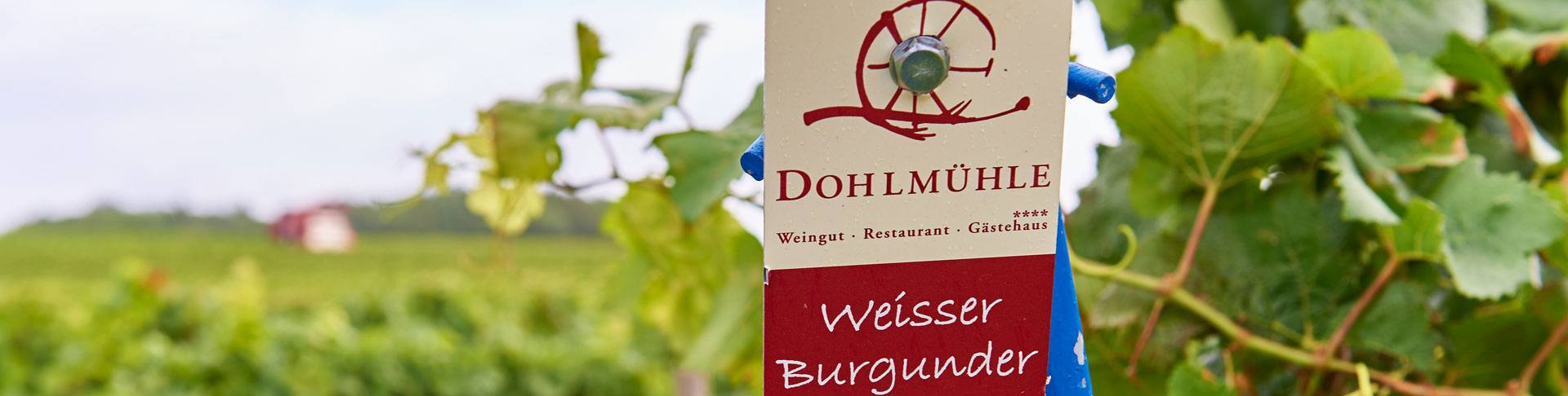 slider_weinberge2