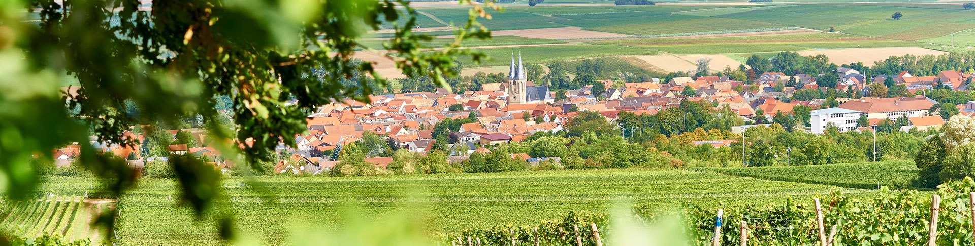 slider_weingut1